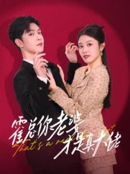 离婚当天我成了大佬的心尖宠